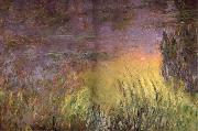 Claude Monet Water Lilies at Sunset oil painting reproduction